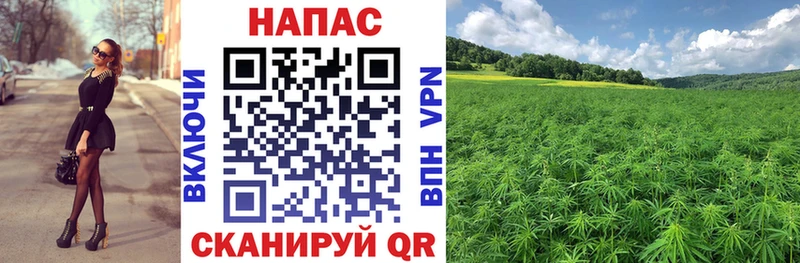 МЕГА как зайти  Слюдянка  Марихуана сатива 